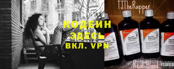 сатива Осташков