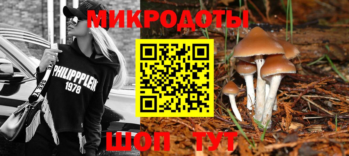 наркошоп  Вход с VPN  Изобильный  Галлюциногенные грибы Psilocybe 